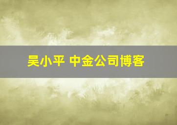 吴小平 中金公司博客